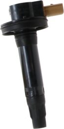 Coil Asy IGN (P) (DG549)